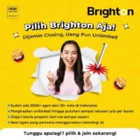 Masih Bingung Pilih Yang Mana? Paling Benar Ya Coblos Brighton Aja!