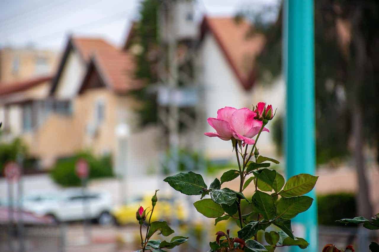 Tips Investasi Properti : Terus Belajar Perluas Pengetahuan