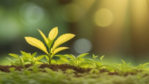 GROW (Tentang Bertumbuh, Dalam Diri dan Dalam Bisnis)
