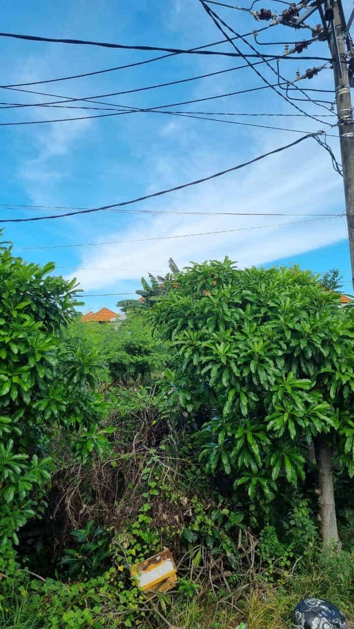 Sewa Min 20 Tahun Tanah 1680m2 Tukad Badung Renon Denpasar Selatan