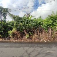 Jual Tanah 737m2 Hadap Utara Peguyangan Kangin Denpasar Utara