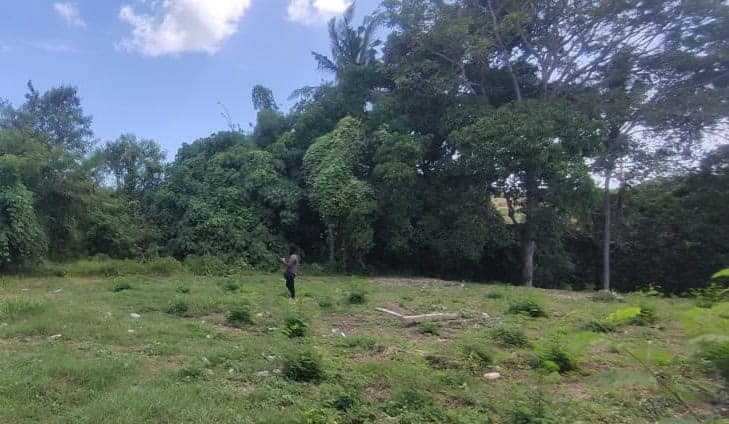 Jual Tanah Kavling 11 Are Greenlot Residence Munggu Mengwi Badung