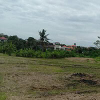 Jual Tanah 24 Are Subak Uma Canggu